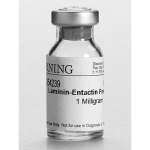 Ultrapur Laminin Mouse 1 mg Soporte OEM personalizable - Product Image 2