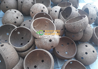 Pot Tanaman dari Kulit Kelapa Alami - Ramah Lingkungan untuk Penggunaan di Rumah, Buatan Vietnam