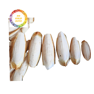 Fábrica de Vietnam hueso de calamar súper barato para proveedores de mascotas al por mayor - Product Image 3