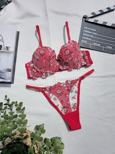 Ensemble de soutien-gorge à armatures brodé de fleurs romantiques avec culotte string push-up à bonnets couvrants pour femme, couleur rose Opt170 - Product Image 4