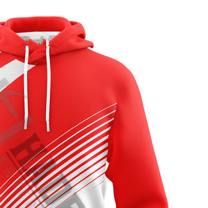 Sweat à capuche en tissu lourd pour hommes, manches longues, couleur et taille personnalisées, sweat à capuche en tissu uni, utilisation régulière, saison d'hiver - Product Image 4