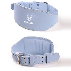Ceintures de musculation de style unique à faible MOQ, vente en gros de ceintures de protection pour le sport et l'extérieur - Product Image 1