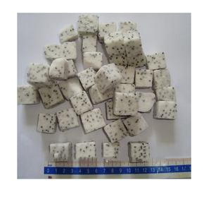 Fruta de dragón congelada de alta calidad empaquetada de forma segura para el tránsito - Product Image 1