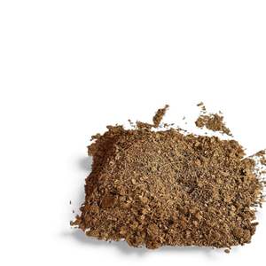 Turba de Coco Premium a Granel Hecha de Cáscara de Coco Natural para Aplicaciones de Horticultura, Agricultura y Mejora del Suelo - Product Image 2