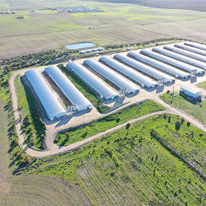 Pollaio in Struttura d'Acciaio con Telaio Leggero e Design Rustico per Allevamento di Polli Installazione Rapida - Product Image 4