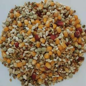 Mélange d'aliments premium pour pigeons |   Nourriture pour oiseaux riche en protéines |   Graines pour oiseaux |   Teneur élevée en protéines brutes - Product Image 5