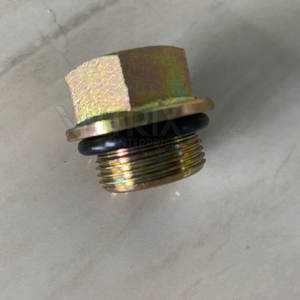 Piezas de Maquinaria, Tapón de Drenaje de Acero, Número de Pieza OEM 2487004 y 17501223M1 y 747294M1 y 748160M1 y 884691 - Product Image 3