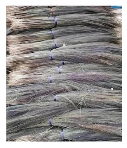 Herbe de balai de qualité supérieure idéale pour la fabrication de balais d'herbe faits à la main pour l'exportation Matière première durable et durable pour le vrac - Product Image 3