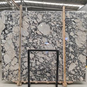 Modern lüks Calacatta Brecchia Viola Violetta Breccia Capraia levha Afyon menekşe Arabescato mor ven mermer fayans levhalar - Product Image 3