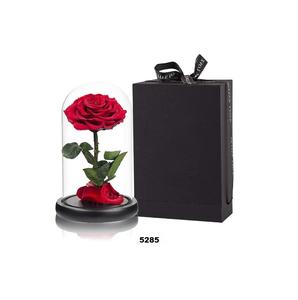 โดมกระจกใสพร้อมฐานไม้สีดำและไฟ LED สำหรับเก็บดอกไม้โดมพร้อมกล่อง - Product Image 3