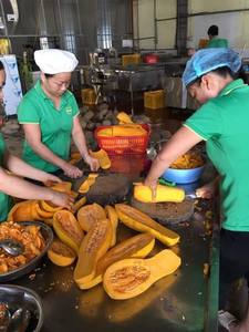 قطع اليقطين الفيتنامية المجمدة عالية الجودة لتجهيز الأغذية وتوريد الجملة الدولية - Product Image 5