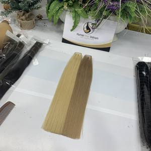 Chaud meilleure qualité 100% brut vierge naturel soyeux lisse vietnamien cheveux naturel droit couleur trame Extension de cheveux - Product Image 3