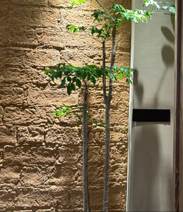 Panneau mural flexible léger imitation <span class=keywords><strong>ciment</strong></span>, imperméable et pliable, <span class=keywords><strong>pour</strong></span> décoration murale extérieure de piliers romains - Product Image 1