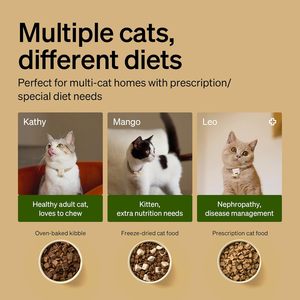 Comedero Automático para Gatos PETLIBRO con RFID, Activación por Collar, Wi-Fi 5G y 2.4G, Programable, Recargable, Comidas Personalizadas - Product Image 6