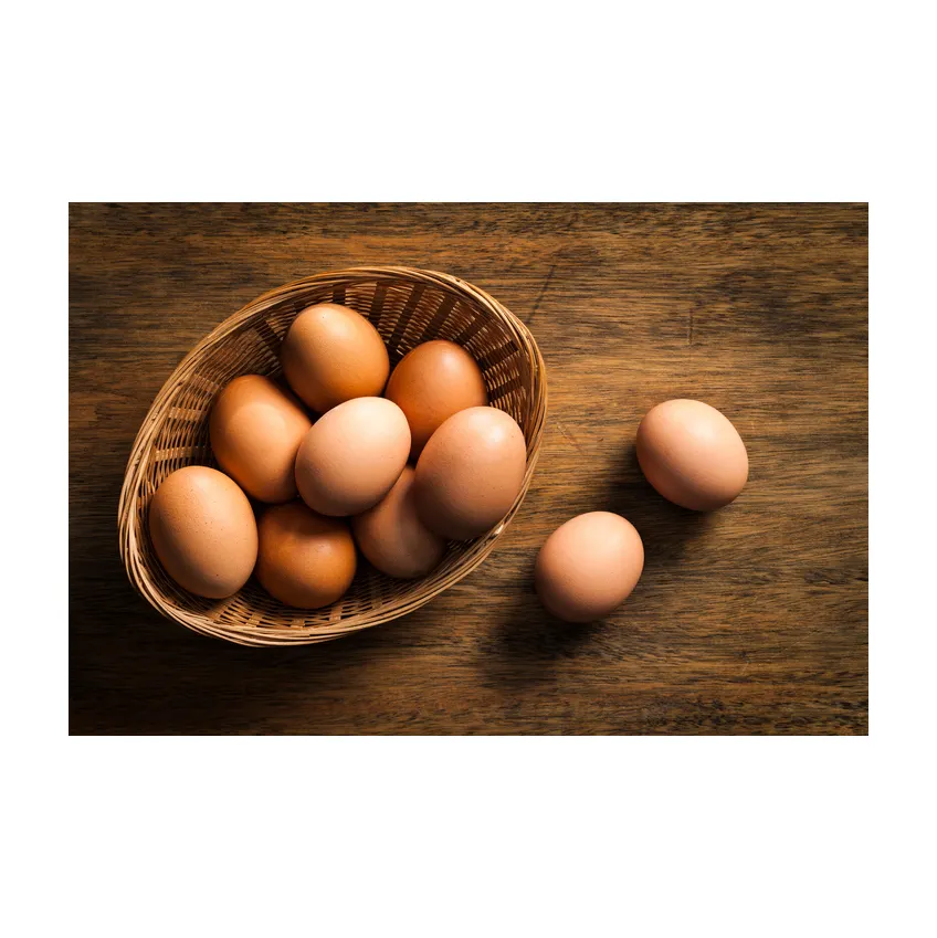 ซัพพลายเออร์ขายส่งที่มีคุณภาพที่ดีที่สุดสีน้ำตาลสดไข่ไก่สำหรับขายในราคาถูกสีน้ำตาลไข่ไก่