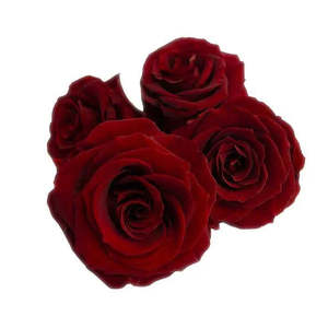 Mini Têtes de Roses Éternelles Naturelles – Lot de 4 Roses Préservées pour Cadeaux de Fête des Mères et de la Saint-Valentin - Product Image 3