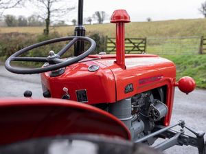 Encuentra iconos similares de tractores Massey Ferguson MF 385 en venta - 25HP. - Product Image 4