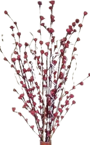 Flores de hojas de palma artificiales Ramo de palmeras decorativas para el hogar Boda y Día de San Valentín Flores decorativas - Product Image 5