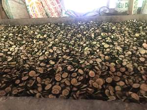 Naranja joven seca de calidad premium a precio asequible, Exportación a granel - Product Image 6