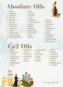 Herbs Essences Exports Huile essentielle de sassafras Extrait naturel d'écorce de racine Arôme doux terreux riche et prononcé Soins capillaires Parfumerie - Product Image 4