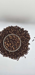 Produit agricole de clou de girofle de haute qualité en gros pour le thé et les bienfaits pour la santé améliorés - Product Image 3