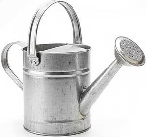 Custom Size Metal Watering <b>Can</b> Latest Design Gold Galvanized Garden <b>Water</b> <b>Can</b> Indoor & Outdoor Decor Flower Holders - Product Image 4