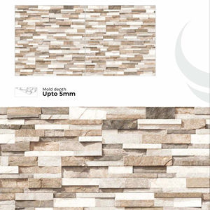 Azulejos de Porcelana para Paredes Exteriores, 300x600 mm, Estilo Moderno - Product Image 1
