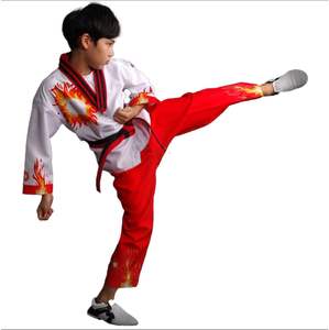 Unisex personalizable MMA Karate Taekwondo llama fuego uniforme mejor calidad Algodón ropa deportiva con logotipo personalizado opciones OEM - Product Image 3