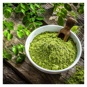 Polvo de Moringa Natural Premium, Polvo de Hojas de Moringa de Bangladesh, Suplemento Herbal para la Salud, Exportación a Granel, Calidad de Exportación, Proveedor Directo al por Mayor - Product Image 2