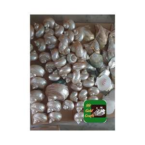 SERVILLETA ELEGANTE DE MADRE DE PERLA SOPORTE PREMIUM DE CONCHA PARA BODAS Y MESAS DE FIESTA DECORACIÓN HECHA EN VIETNAM - Product Image 4