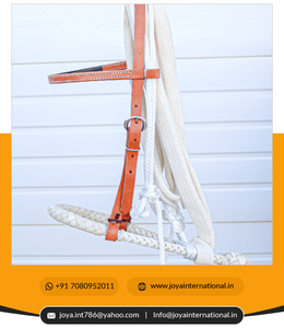 Western Equestrian Horse Leather Bridle Heavy Duty Rawhide Bosal Western Horse Breaking Training Hackamore réduction de poids - Product Image 5