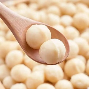 Nueces de Macadamia 100% Naturales y Orgánicas, Crudas, Secas, con Sabor Cremoso, envasadas al Vacío, Venta al Por Mayor - Product Image 6
