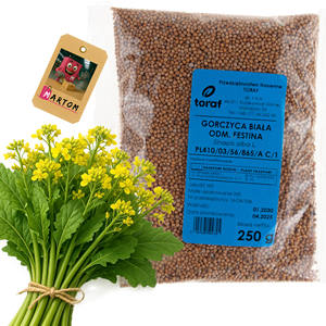 Semillas de Mostaza Blanca para Cultivo Festina 250g, Artículos de Jardinería - Product Image 4