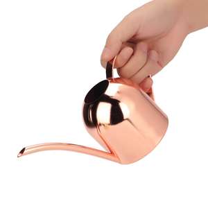 กระถางรดน้ำปากแคบสำหรับต้นไม้  บัวรดน้ำโลหะพร้อมพวยแคบ - Product Image 4