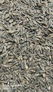 Produit agricole biologique Terminalia Chebula Premium - Product Image 6