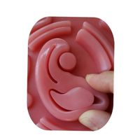 Modèle de chirurgie laparoscopique Science médicale de laboratoire Modèle simulé de suture abdominale pour équipement éducatif