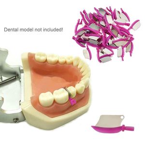 50 pz/scatola materiale ortodontico dentale in legno cunei sbiancamento dei denti - Product Image 1