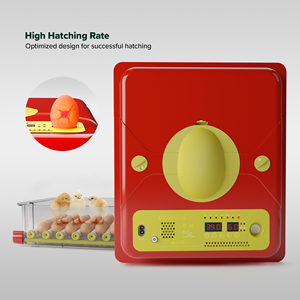 Tự động lồng ấp trứng cho 36 trứng gà với chất lượng cao PP nhựa xây dựng - Product Image 5