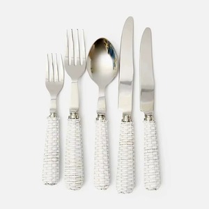 Ensemble de couverts en argent avec poignées en résine design pour une salle à manger contemporaine, vaisselle moderne et style de cuisine d'Inde - Product Image 5