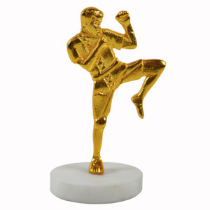 Trophées sportifs de la meilleure qualité, médailles et plaques en laiton et en bois, récompenses en or, cadeaux avec un design incroyable, prix bas - Product Image 4