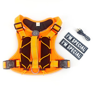 Arnés para Perro UMIONE Personalizado, Impermeable, Recargable, con Luz LED Reflectante Intermitente, Certificado CE, <span class=keywords><strong>de</strong></span> Nailon y Plástico para <span class=keywords><strong>Seguridad</strong></span> Nocturna - Product Image 2