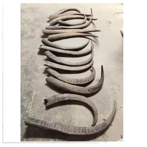 Corne de buffle naturelle et pointe de corne-Art de style animal de haute qualité et taille personnalisée à collectionner - Product Image 1