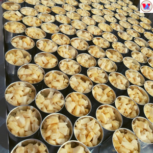 Ananas en conserve du Vietnam de la plus haute qualité meilleur prix tranches de variété directe fruits d'ananas doux broyés en morceaux/Mme Lucinda - Product Image 4