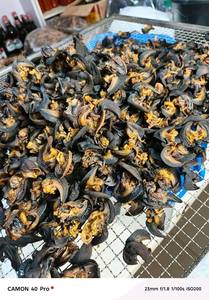 Escargots géants africains congelés 100% comestibles avec stockage IQF et durée de conservation de 12 mois - Product Image 3