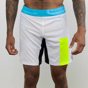 Shorts de combat professionnels de qualité supérieure Faites votre propre conception vêtements de sport personnalisés Art martial Mma Shorts hommes personnalisés - Product Image 4