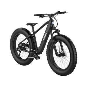 Bicicleta Eléctrica Todoterreno con Llantas Gruesas P6 - 750W - 48V - Hasta 28MPH - Product Image 2