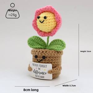 Maceta de Flores de Ganchillo Personalizable y al por Mayor, Directo de Fábrica, para Decoración de Aulas para Estudiantes - Product Image 3
