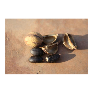 น้ำมันเมล็ดจatropha แห้งสำหรับทำอาหาร - Product Image 6