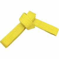 Oferta Especial: Cinturón de Jiu Jitsu, Taekwondo, Karate, BJJ, Personalizado, para Entrenamiento de Artes Marciales, 100% Algodón, Ligero