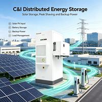 Système de stockage d'énergie commercial hybride distribué Growatt WIT 29.9K-50K-XHU 50~60kWh LiFePO4 en armoire